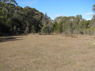 Natural Bush Block Picture Natural Bush Block Picture
