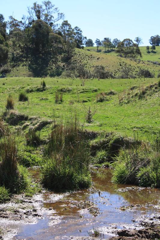 Just what you have been looking for.......... Picture 3