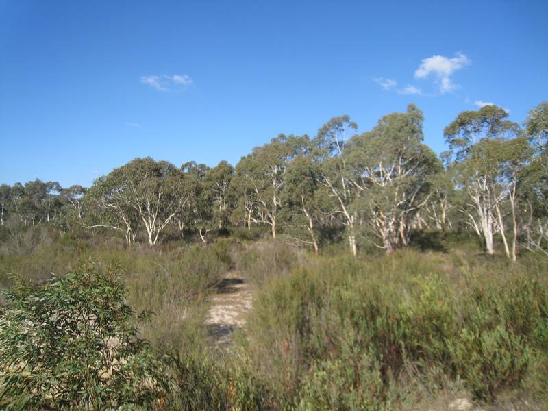 Small Acreage on the Cooma Road Picture 3