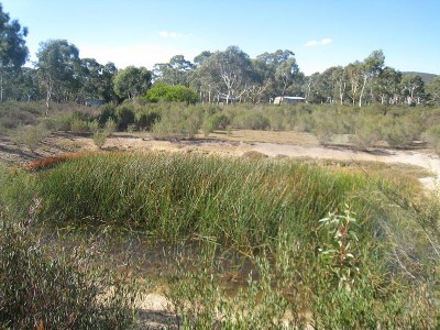 Small Acreage on the Cooma Road Picture