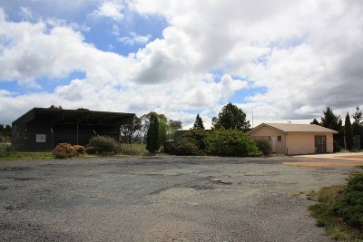 Great Business Opportunity Picture