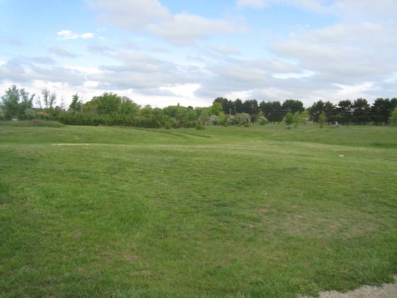 Prime Position- Quality Plus Picture 3