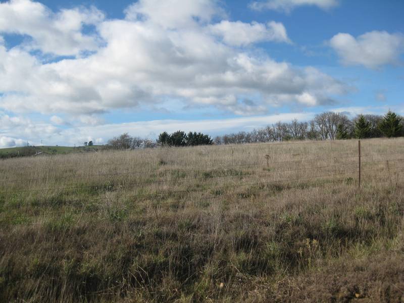 Great Investment Opportunity Picture 1