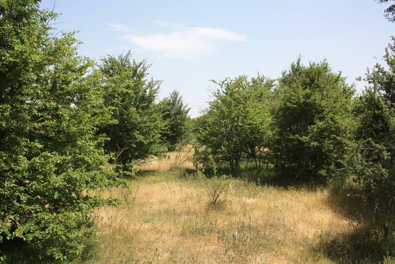 "Hawthorn Hideaway" Picture 1