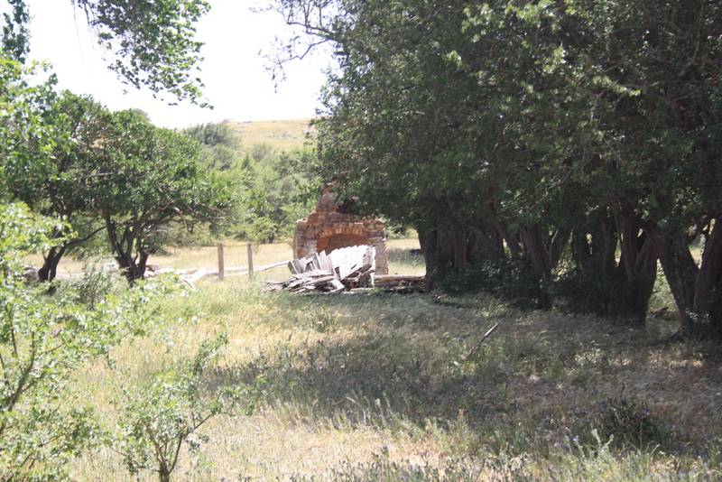 "Hawthorn Hideaway" Picture 3