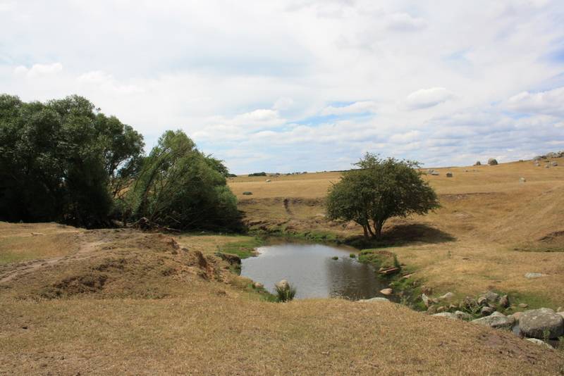 100 Beautiful Acres Picture 3