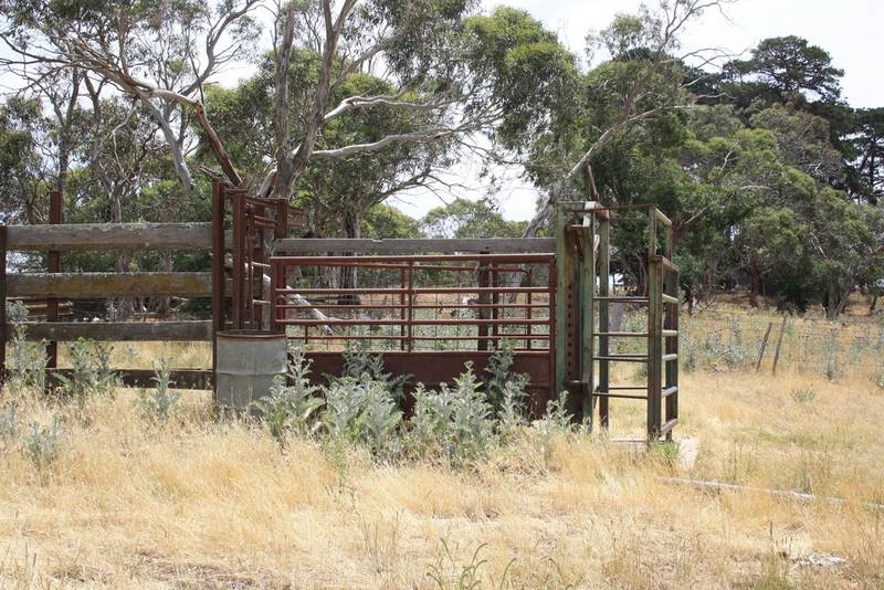 100 Beautiful Acres Picture 1