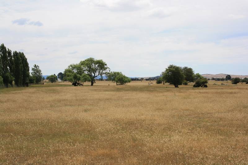 Productive acreage so close to town Picture 1