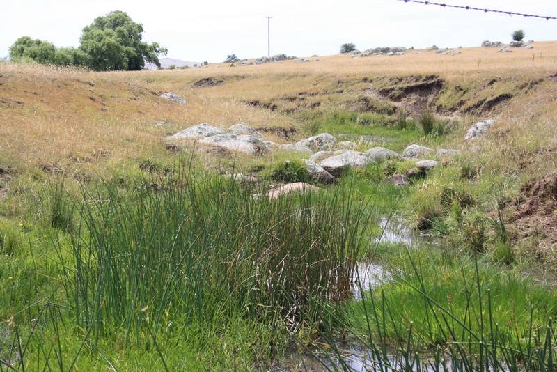 Productive acreage so close to town Picture 2