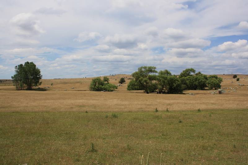 Productive acreage so close to town Picture 3