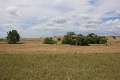 Productive acreage so close to town Picture