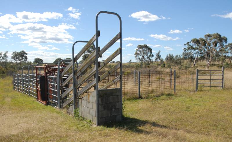 Sherborne - Walk Right In Picture 2