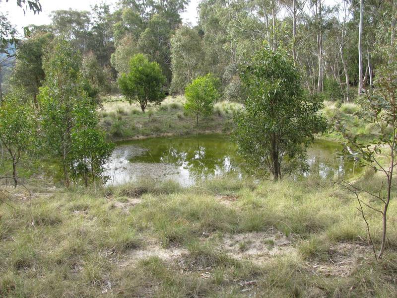 Beautiful Harolds Cross- 25 Acres (10.11Ha) Picture 2