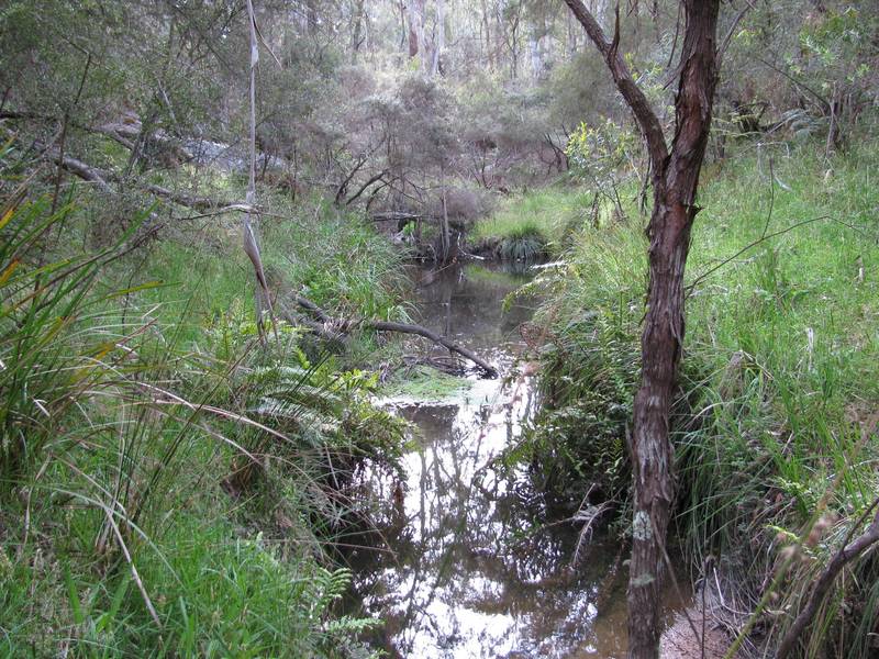 Beautiful Harolds Cross- 25 Acres (10.11Ha) Picture 1