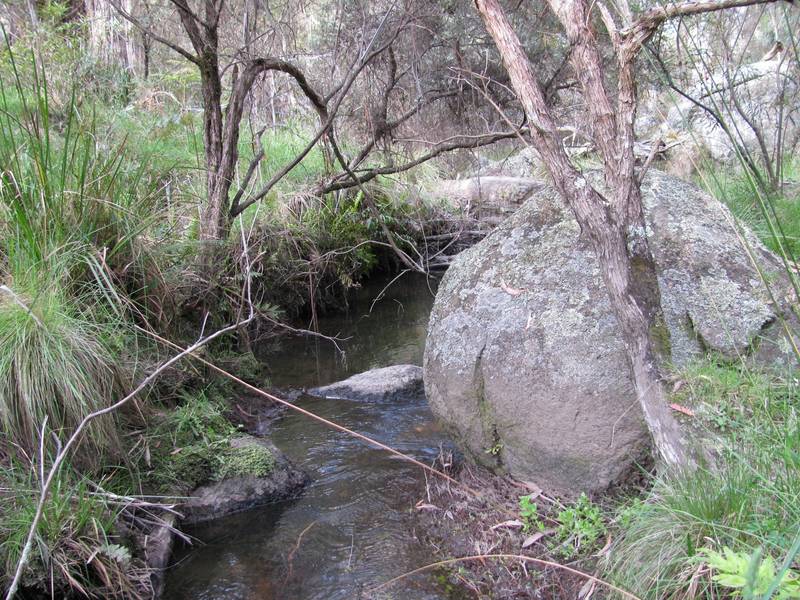 Beautiful Harolds Cross- 25 Acres (10.11Ha) Picture 3