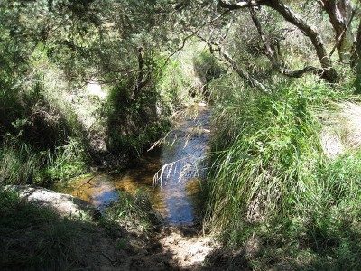 'VALLEY VIEW' - 610 Acres (246.9 Ha) Picture