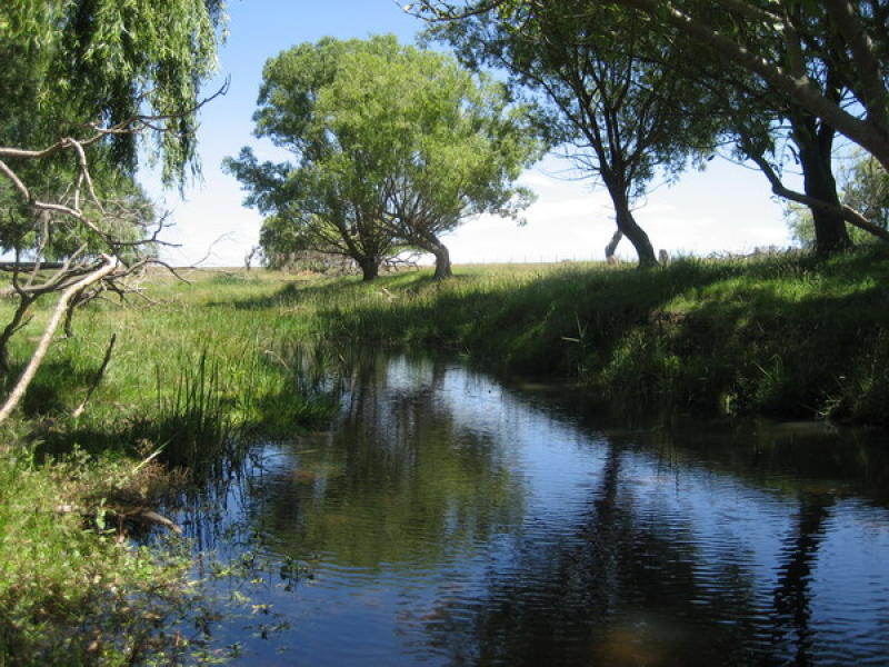 Grazing Property - 150 acres (60.7 ha) Picture 1