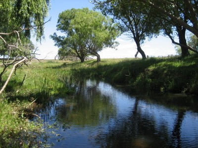 Grazing Property - 150 acres (60.7 ha) Picture