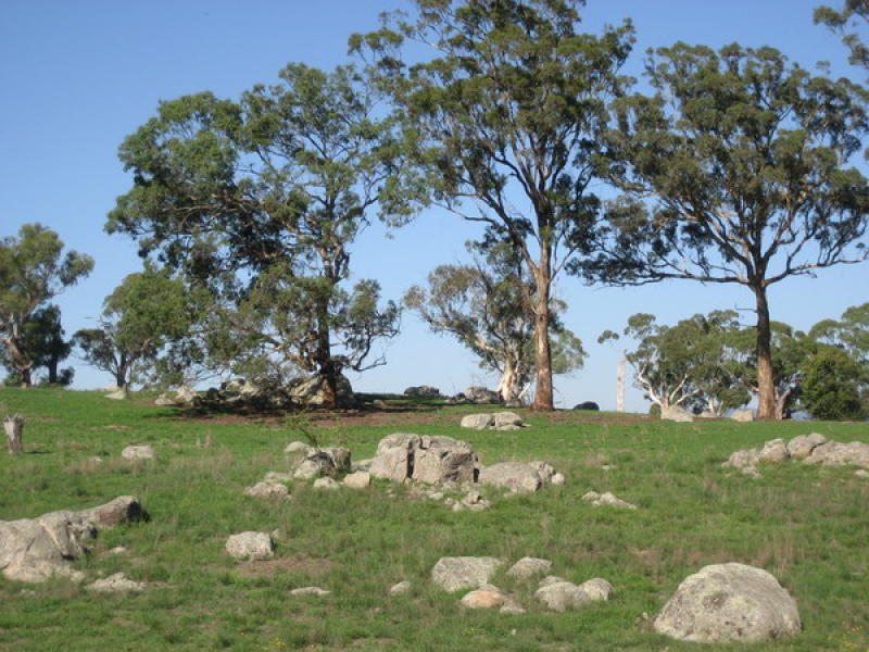 Grazing Property - 150 acres (60.7 ha) Picture 2