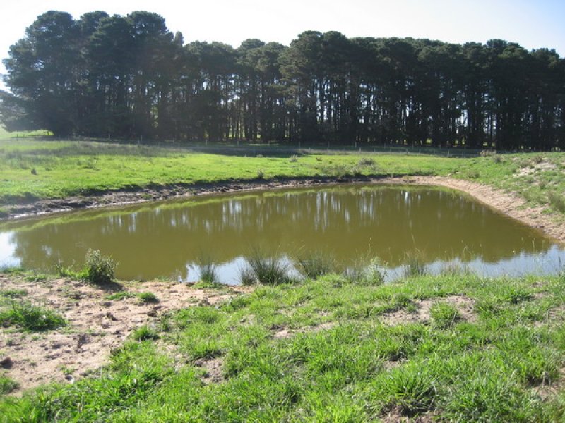 Grazing Property - 150 acres (60.7 ha) Picture 3