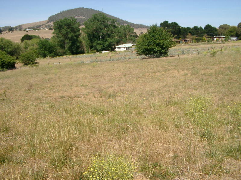 14 HASSALL CIRCUIT Picture 2