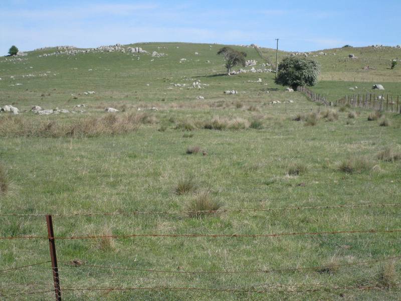 A Grade Location Picture 2