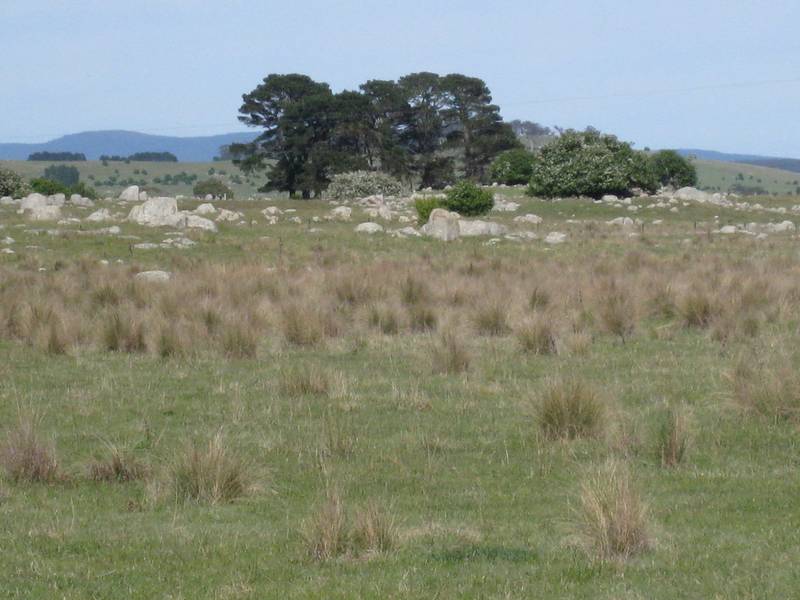 A Grade Location Picture 3