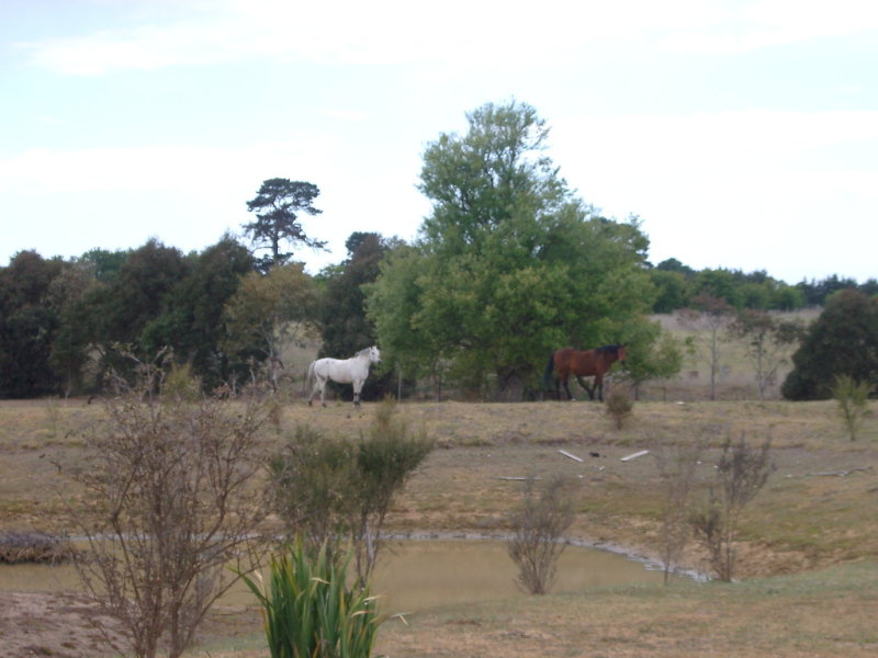 All the hard work done! Picture 3