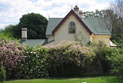 AN ORIGINAL PIECE OF BRAIDWOOD - C1860s Picture