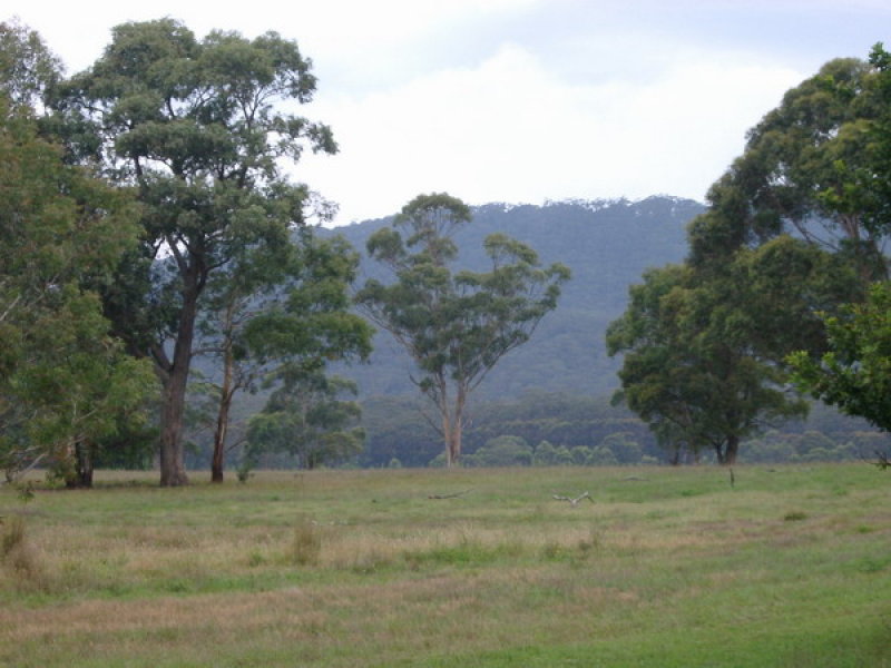 BUDAWANG BEAUTY Picture 2