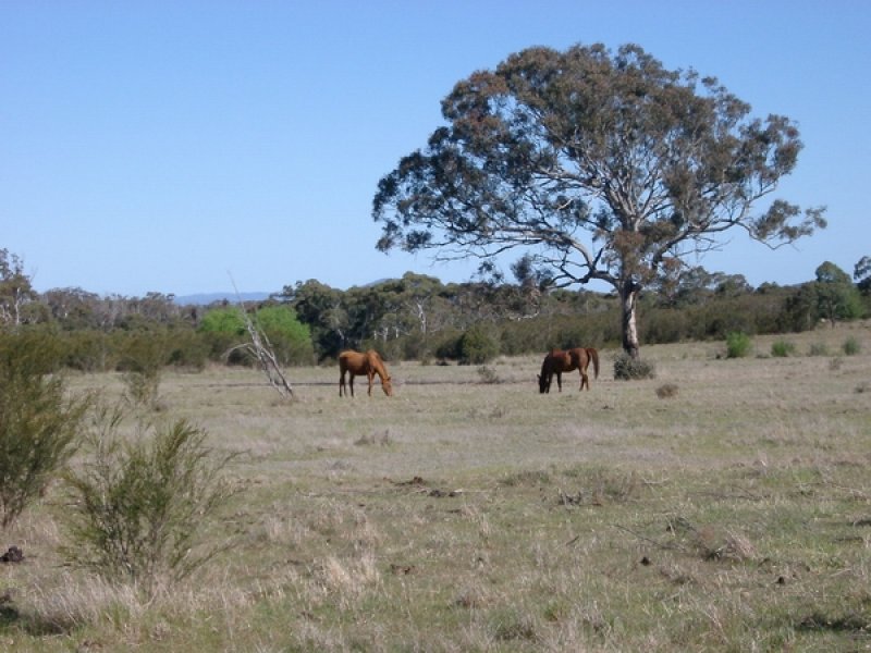 COMMUTERS ALERT!!! Picture 2