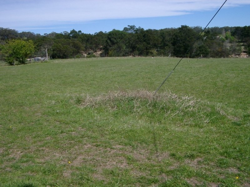 ELEVATED BUILDING BLOCK Picture 2