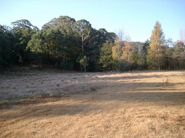 ESTABLISHED AREA Picture 2