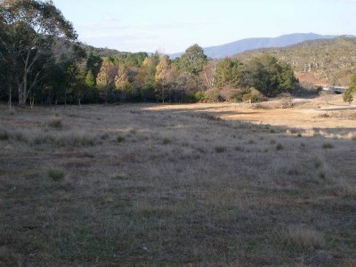 ESTABLISHED AREA Picture