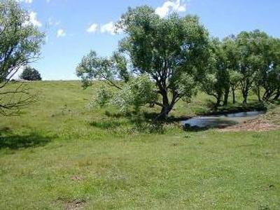 LIFESTYLE & PRODUCTION Picture