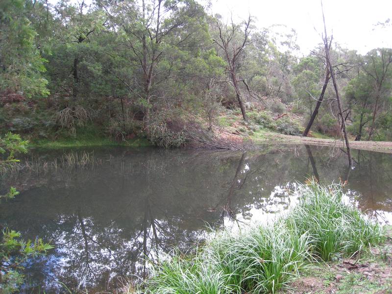 lifetyle Block close to town Picture 1