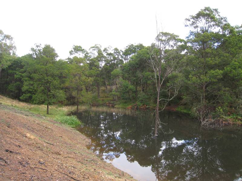 lifetyle Block close to town Picture 3