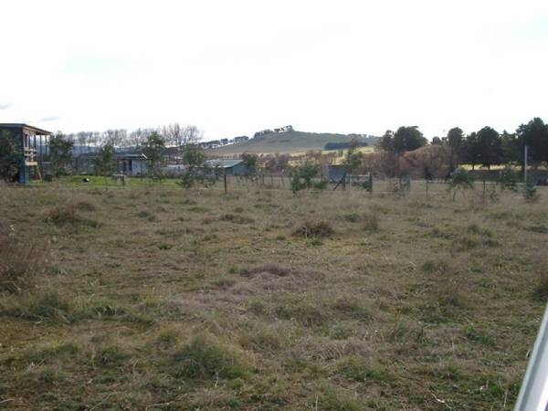 LARGE BUILDING BLOCK Picture 3