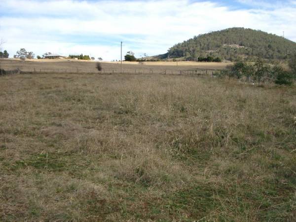 LARGE BUILDING BLOCK Picture 2