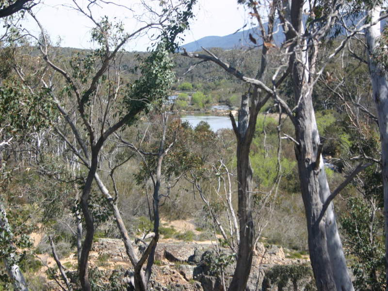 SHOALHAVEN RIVER FRONTAGE - 250 Acres Picture 3