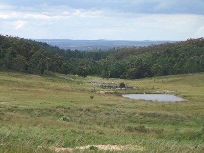 Stunning Rural Acreage Picture
