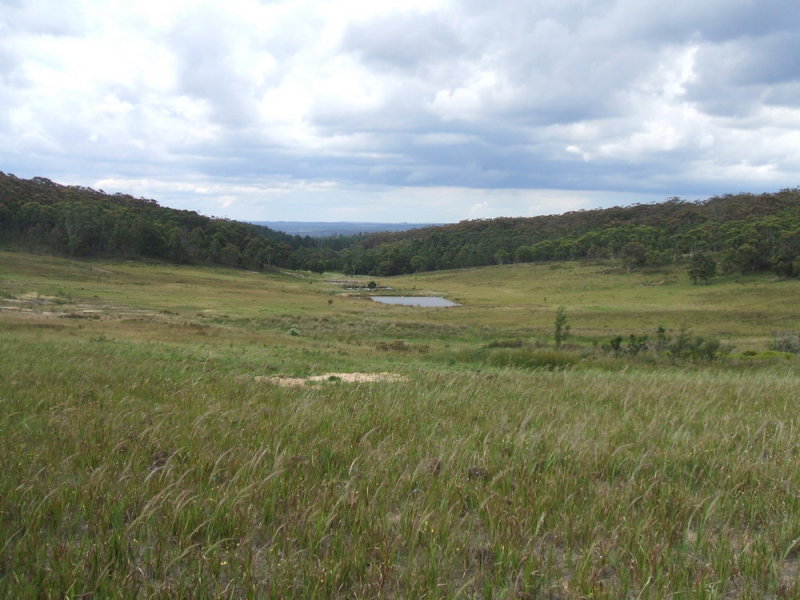 Stunning Rural Acreage Picture 3