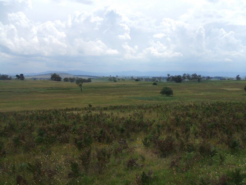 Stunning Rural Acreage Picture 2