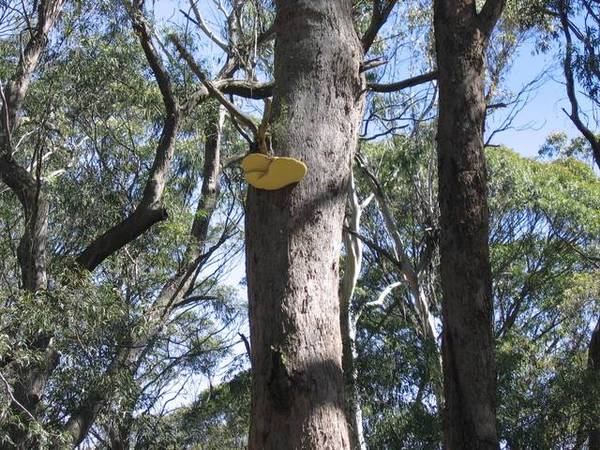 The Great Escape Picture 3