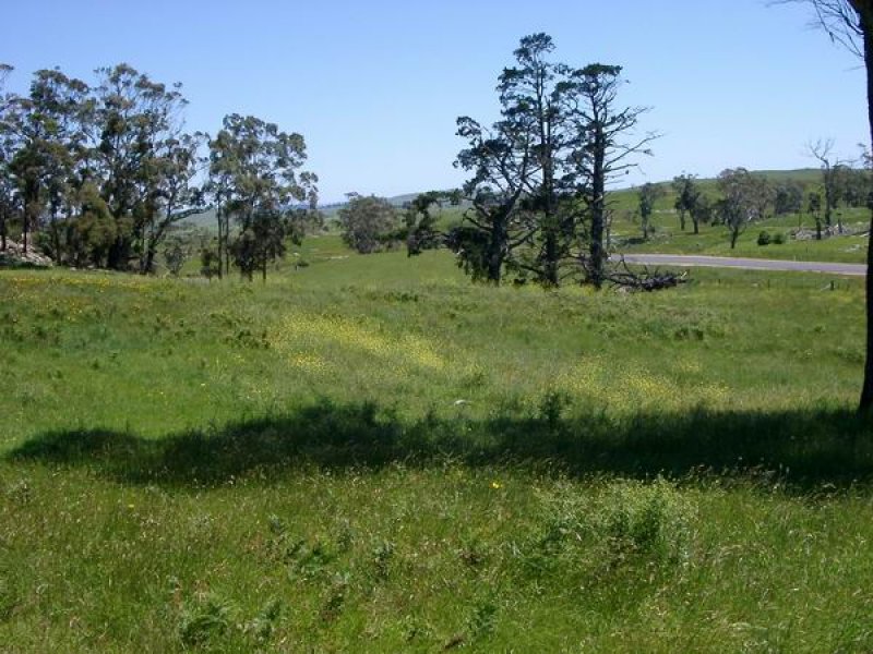 Town Views Picture 3