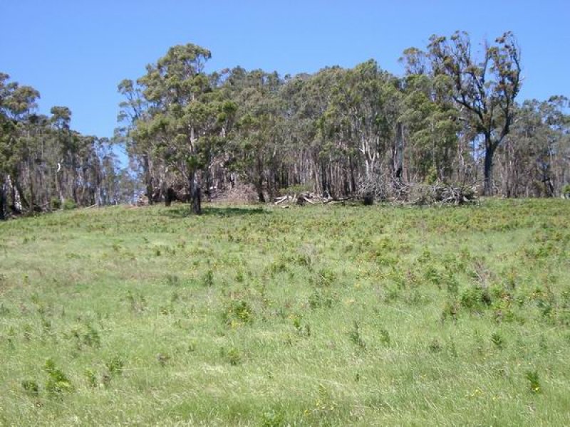 Town Views Picture 2