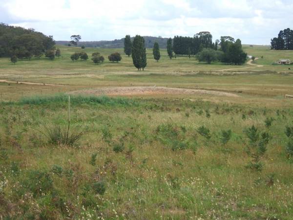 Beautiful Small Block Picture