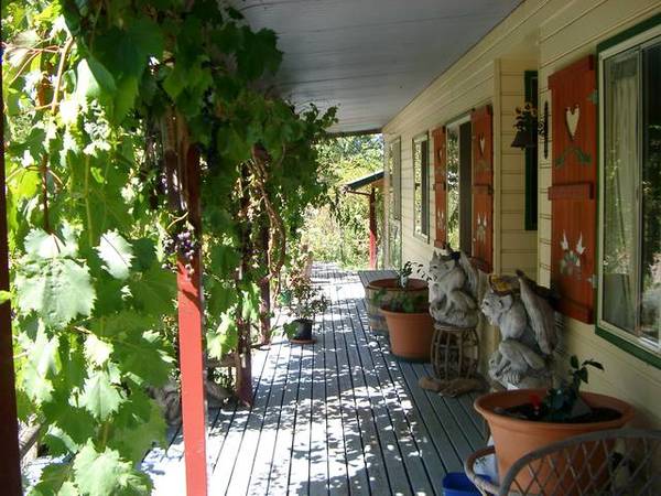 Peace and Quiet Picture 1