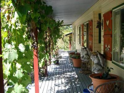 Peace and Quiet Picture