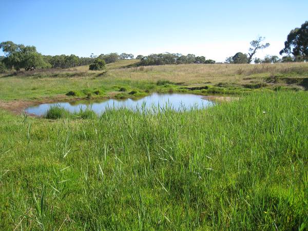Acreage with Creek Picture 1